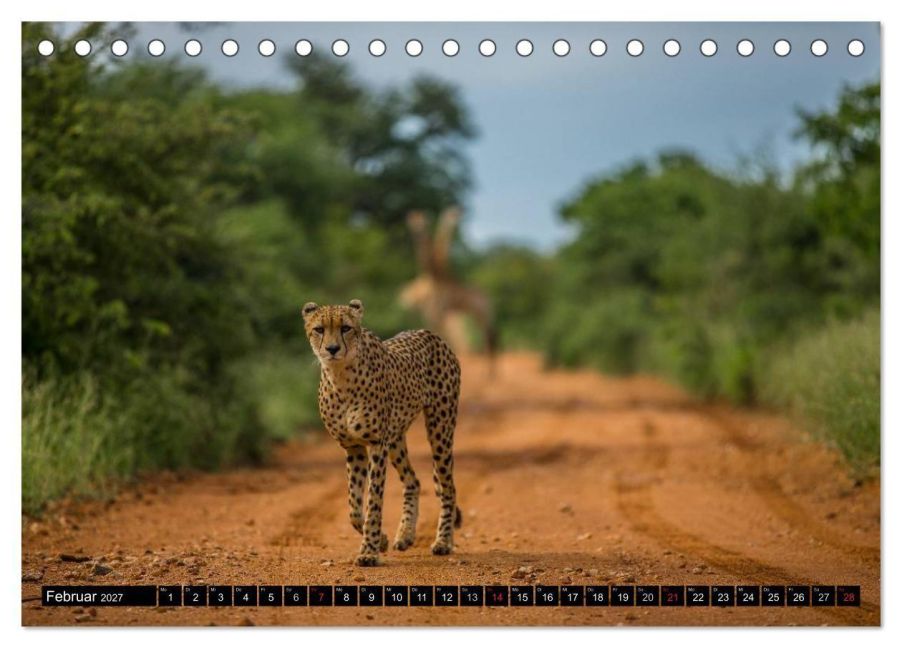 InsideView 7