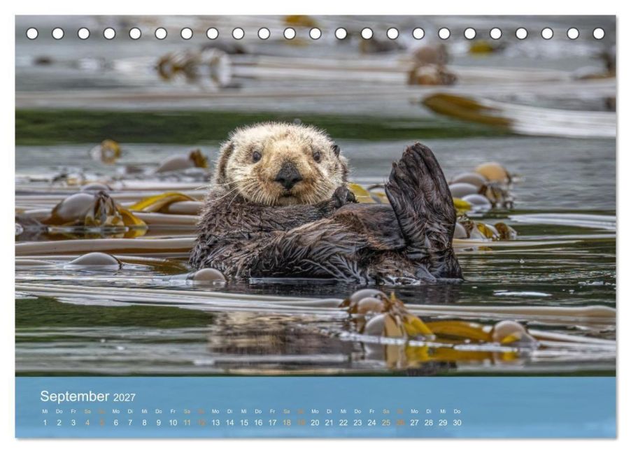 InsideView 14