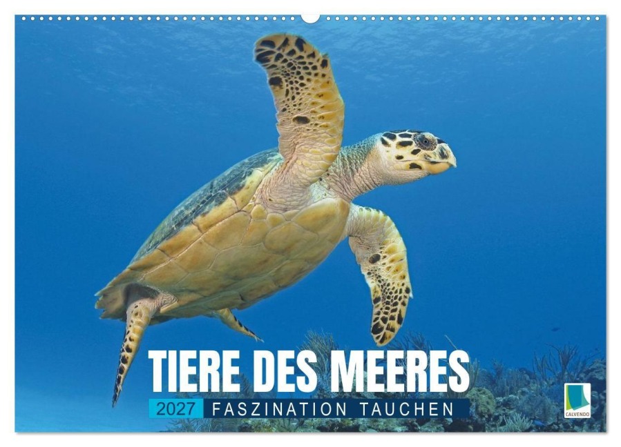 Tiere des Meeres: Faszination Tauchen (Wandkalender 2027 DIN A2 quer), CALVENDO Monatskalender - Calvendo
