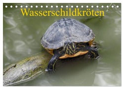 Cover-Bild zum Titel 'Wasserschildkröten (Tischkalender 2027 DIN A5 quer), CALVENDO Monatskalender' von 'Klaudia Kretschmann'