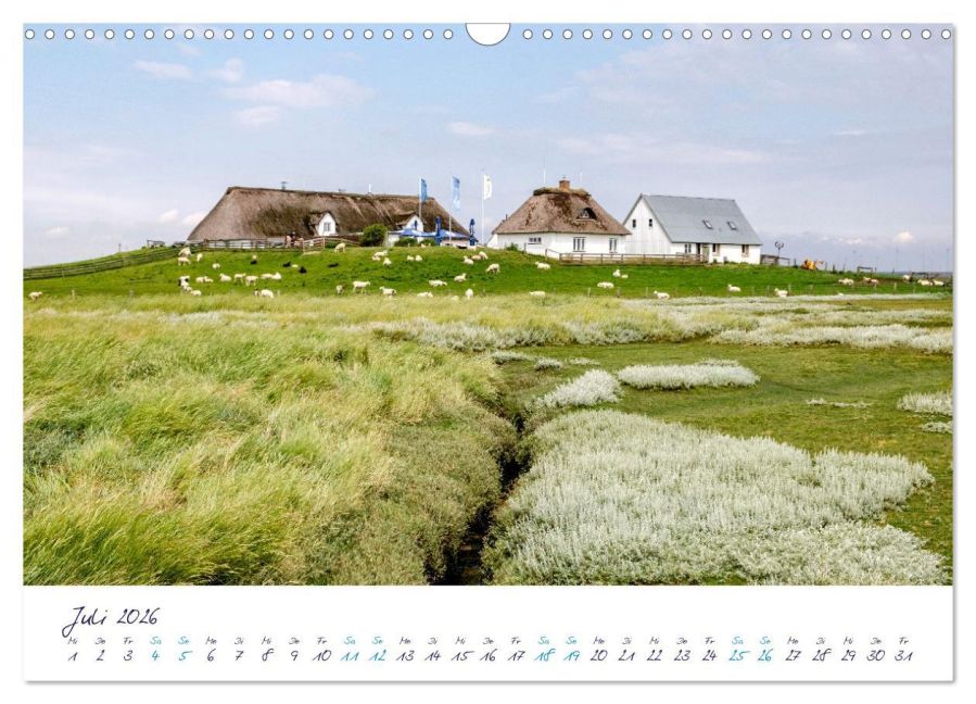InsideView 12