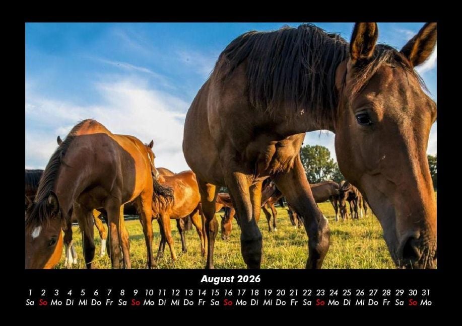 InsideView 12