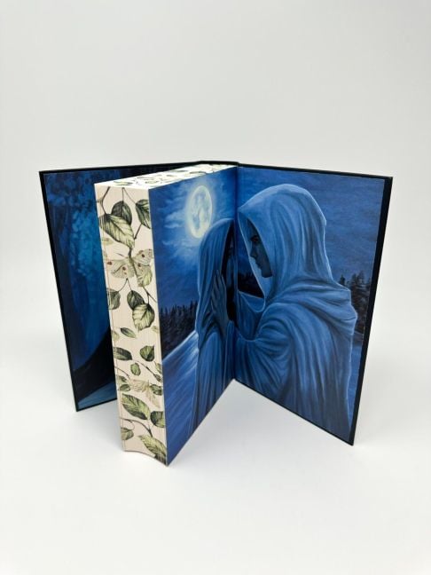 InsideView 6