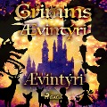 Cover-Bild zum Titel 'Ævintýri' von 'Grimmsbræður'