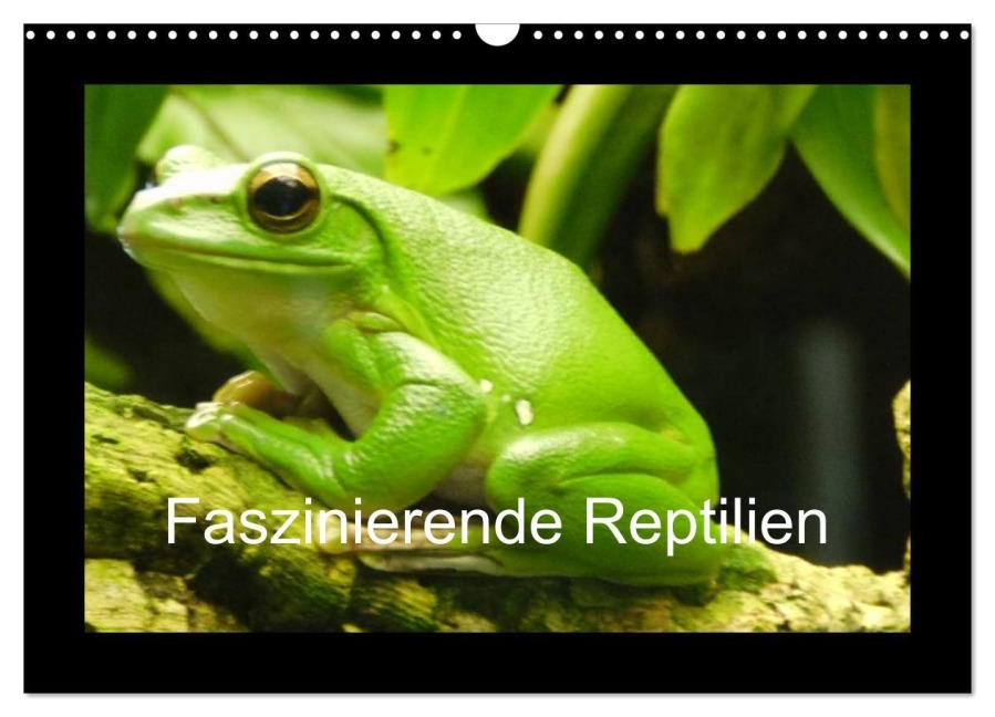 Faszinierende Reptilien (Wandkalender 2026 DIN A3 quer), CALVENDO Monatskalender - Sven Herkenrath
