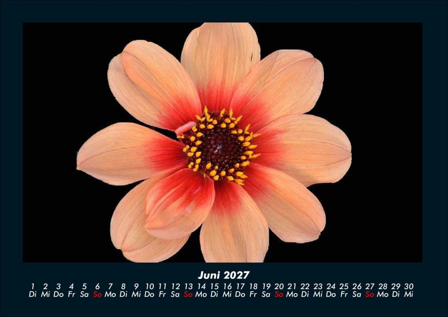 InsideView 10