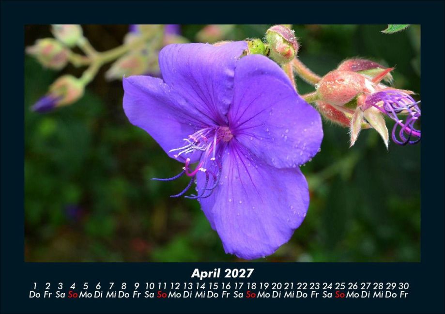 InsideView 8