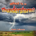 What Is a Thunderstorm? - Robin Johnson