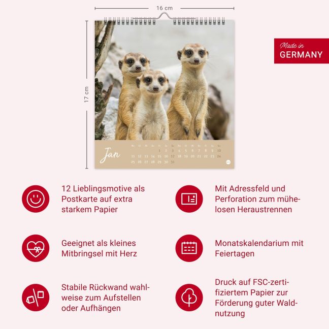InsideView 13
