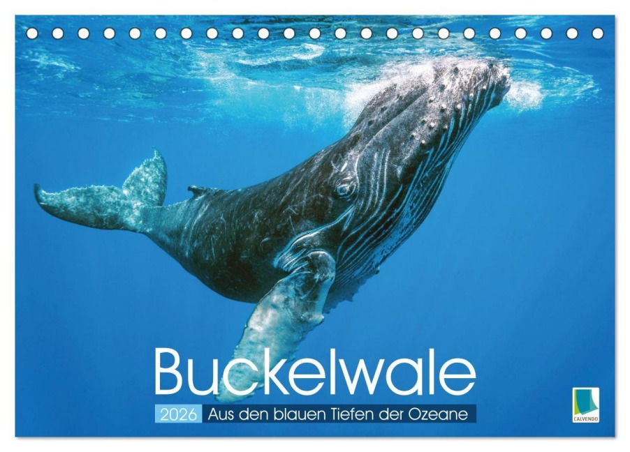 Buckelwale: Aus den blauen Tiefen der Ozeane (Tischkalender 2026 DIN A5 quer), CALVENDO Monatskalender - Calvendo Calvendo