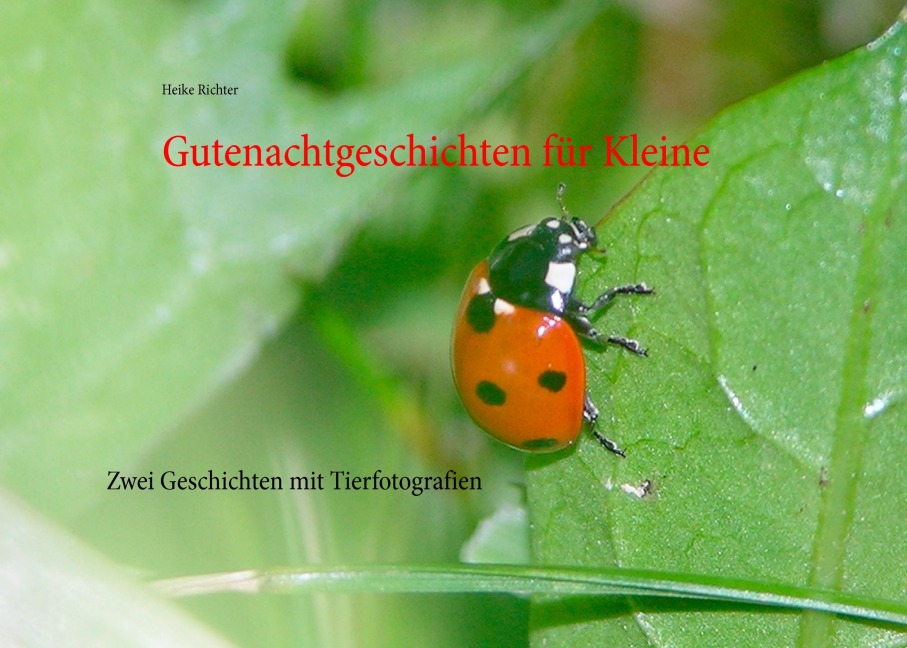 Gutenachtgeschichten für Kleine - Heike Richter