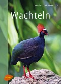 Cover-Bild zum Titel 'Wachteln' von 'Friedel Bernhardt, Armin Kühne'