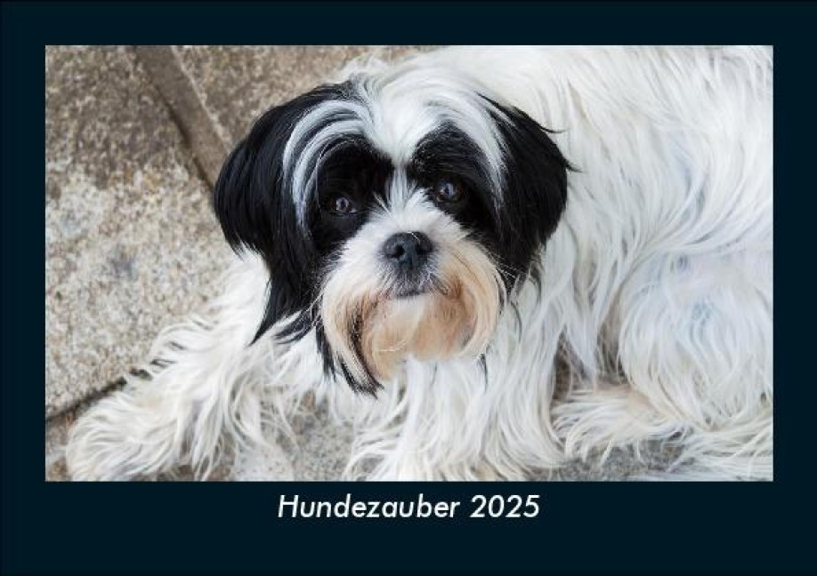 Hundezauber 2025 Fotokalender DIN A5 - Tobias Becker