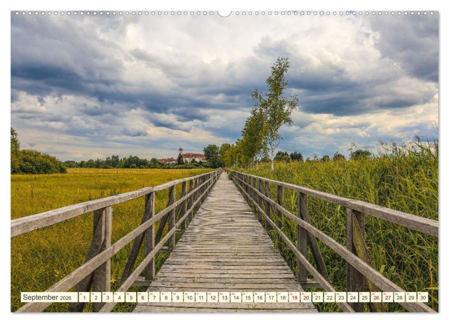 InsideView 13