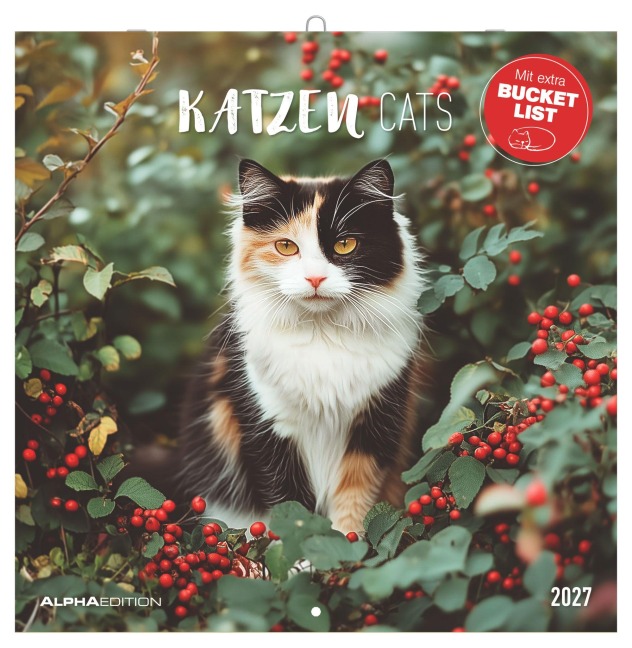Katzen 2027 - 