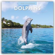 Cover-Bild zum Titel 'Dolphins - Delfine 2027 - 16-Monatskalender' von 'Robin Red'