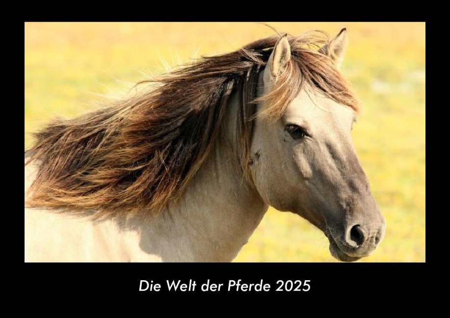 Die Welt der Pferde 2025 Fotokalender DIN A3 - Tobias Becker