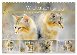 Cover-Bild zum Titel 'Wildkatzen. Europas scheue Waldbewohner (Wandkalender 2027 DIN A3 quer), CALVENDO Monatskalender' von 'Rose Hurley'