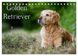 Golden Retriever (Tischkalender 2025 DIN A5 quer), CALVENDO Monatskalender - Nicole Noack