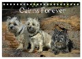 Cairns Forever (Tischkalender 2025 DIN A5 quer), CALVENDO Monatskalender - Homwico Homwico