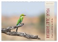 Birdlife - Vögel im südlichen Afrika (Wandkalender 2024 DIN A2 quer), CALVENDO Monatskalender - Silvia Trüssel