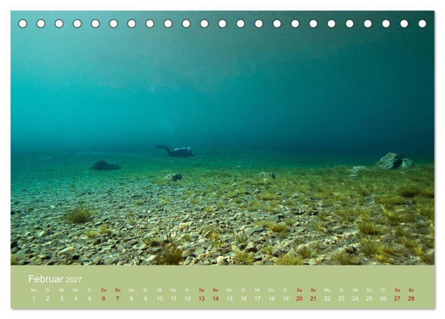 InsideView 7