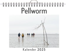 Cover-Bild zum Titel 'Pellworm' von 'Marie Friedrich'