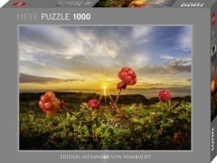 Cover-Bild zum Titel 'Cloudberries Puzzle 1000 Teile' von ''
