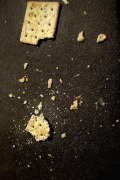 Cover-Bild zum Titel 'Stale Crackers' von 'Senor'