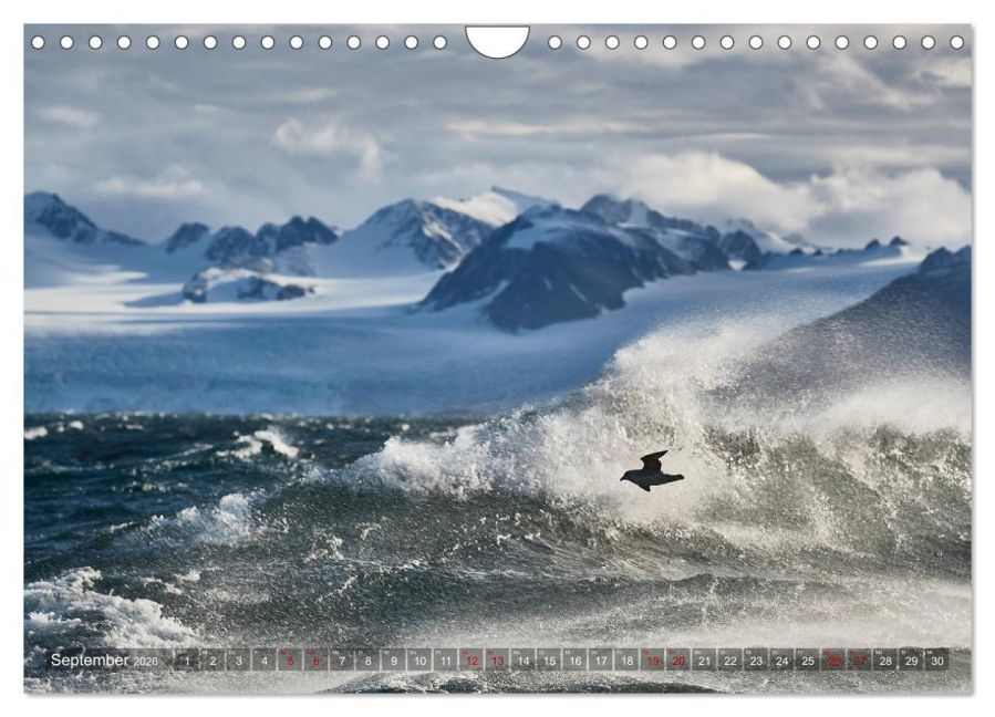 InsideView 14
