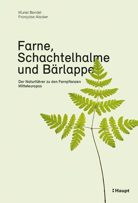 Farne, Schachtelhalme und Bärlappe - Muriel Bendel, Françoise Alsaker