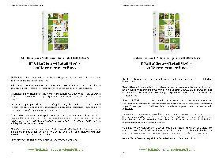 InsideView 11