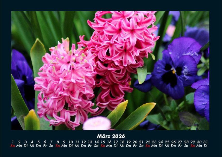 InsideView 7