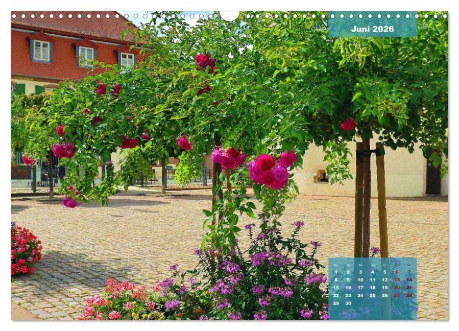 InsideView 11