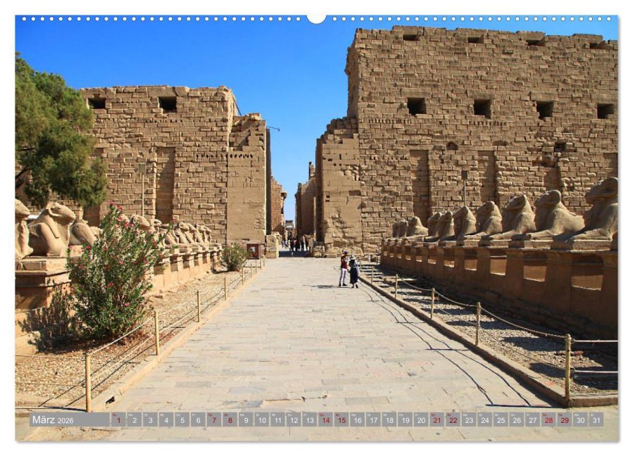InsideView 7