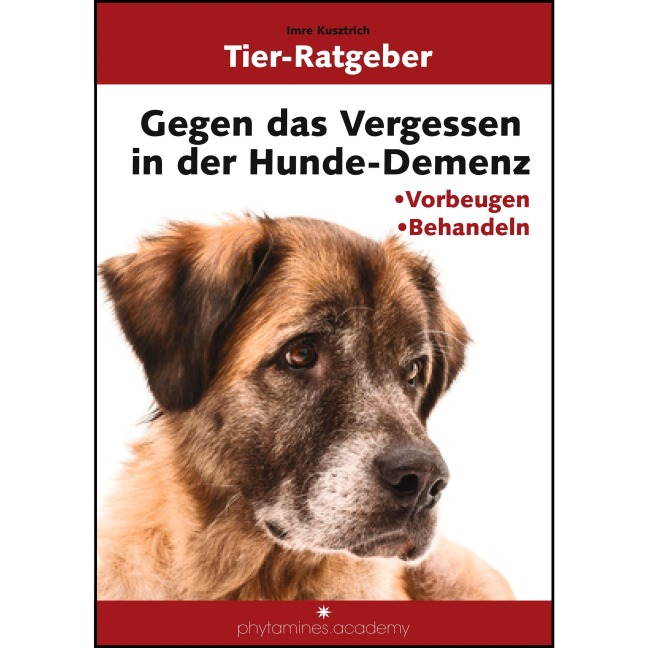 Gegen das Vergessen in der Hunde-Demenz - Imre Kusztrich