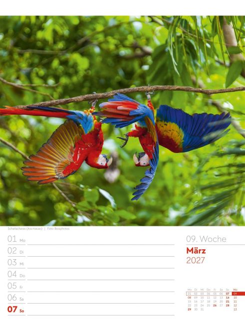 InsideView 13