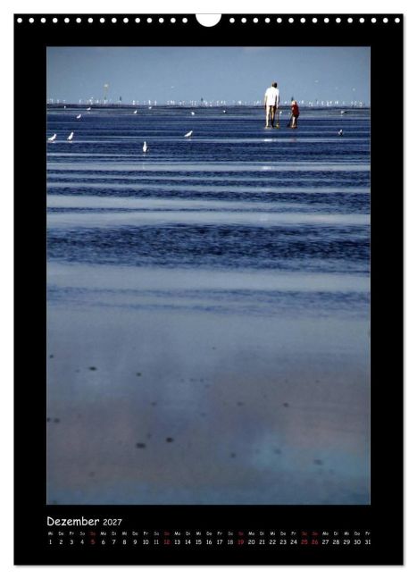 InsideView 4