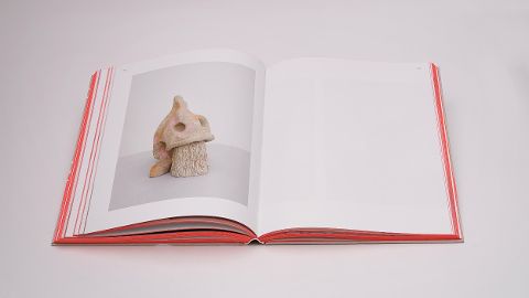 InsideView 9