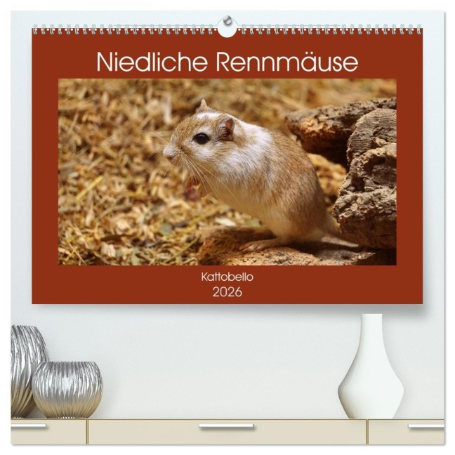 Niedliche Rennmäuse (hochwertiger Premium Wandkalender 2026 DIN A2 quer), Kunstdruck in Hochglanz - Kattobello Kattobello