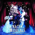 Cover-Bild zum Titel 'Das Album' von 'Die Nacht der Musicals'