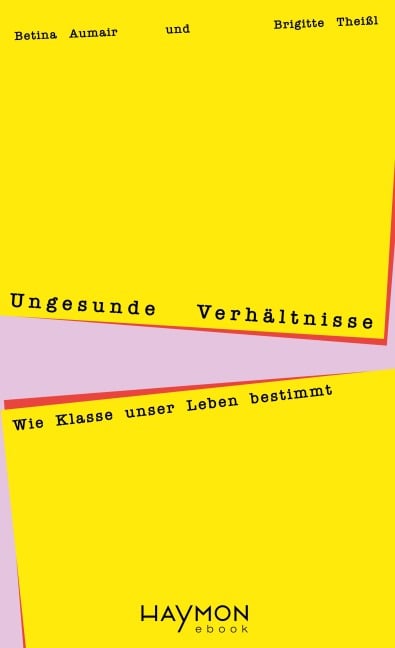 Ungesunde Verhältnisse - Betina Aumair, Brigitte Theißl