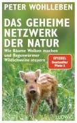 Cover-Bild zum Titel 'Das geheime Netzwerk der Natur' von 'Peter Wohlleben'