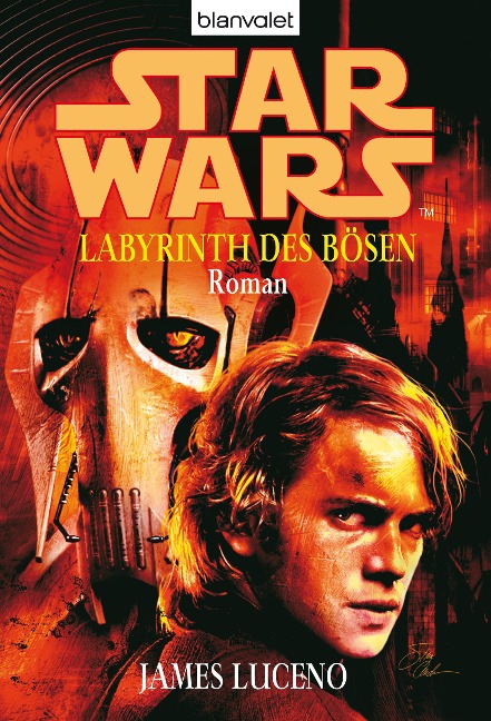Star Wars. Labyrinth des Bösen - James Luceno