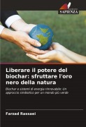 Cover-Bild zum Titel 'Liberare il potere del biochar: sfruttare l'oro nero della natura' von 'Farzad Rassaei'