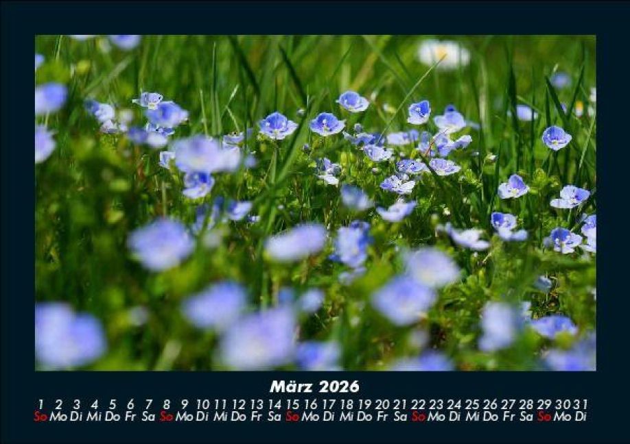 InsideView 7