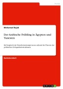 Der Arabische Frühling in Ägypten und Tunesien - Mohamad Rajab