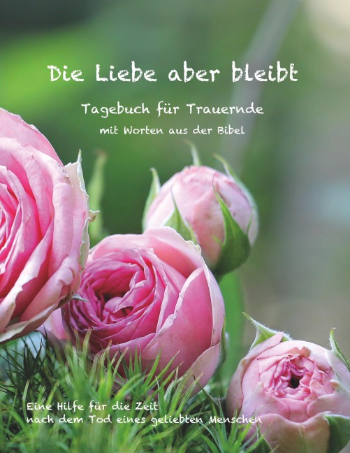 Die Liebe aber bleibt - Ulrike Englmann