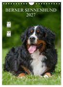 Cover-Bild zum Titel 'Berner Sennenhund 2027 (Wandkalender 2027 DIN A4 hoch), CALVENDO Monatskalender' von 'Sigrid Starick'