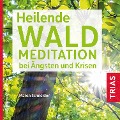 Cover-Bild zum Titel 'Heilende Waldmeditation bei Ängsten und Krisen' von 'Maren Schneider'